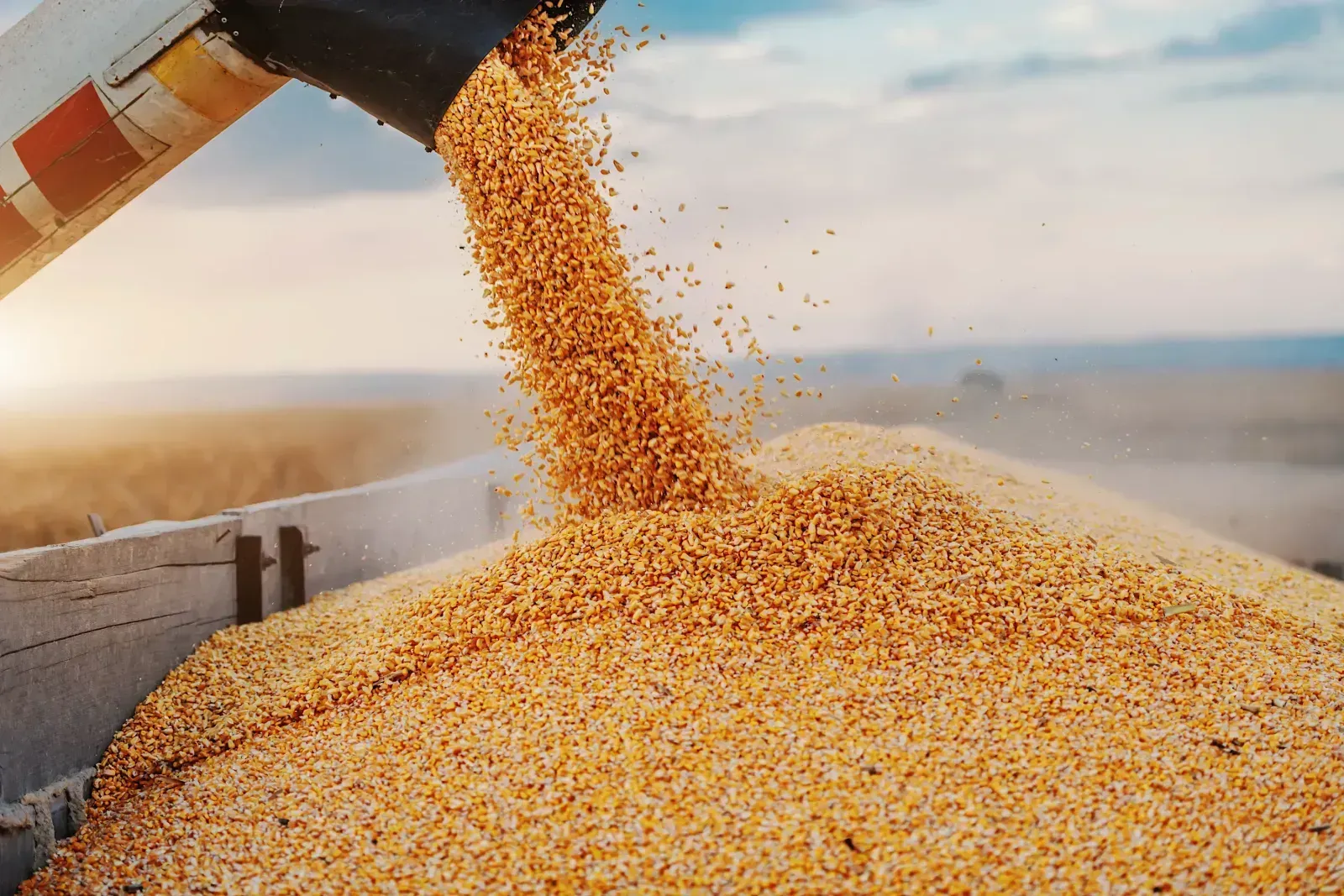 6740de9e7601f4127dd130e6_Corn Tractor-p-1600.webp