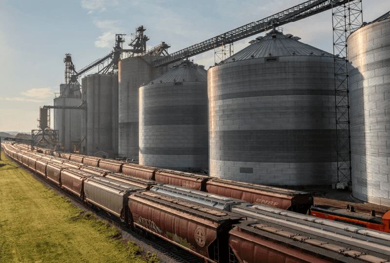 99589848e5263024a30dfb9347b11ac647ee0656 (1).png