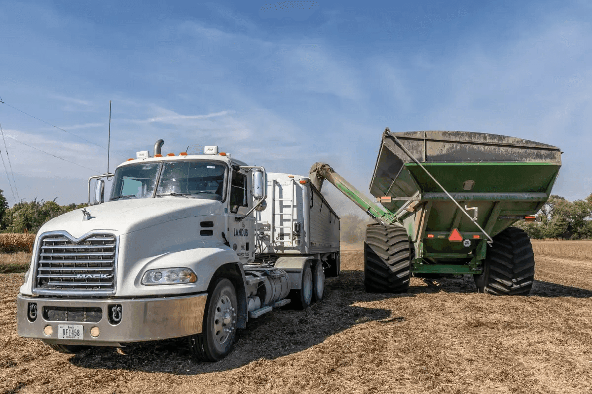 Renewable Energy & Fuel.png